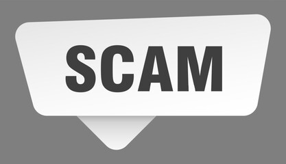 scam sign. scam white sticker isolated on gray background