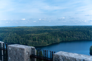 Overview from an old aviation tower overlooking old forest and a lake.