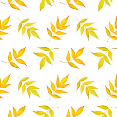 Seamless autumn pattern with yellow and orange leaves on a white background. Botanical pattern for wallpapers, fabrics, cards, prints, textiles and packaging.