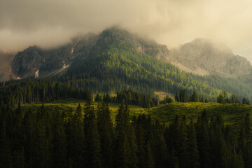 morning mist over the mountains