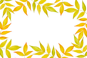 Autumn leaves frame isolated on white background. Design element for creating autumn arrangements, frames, collages, invitations, discounts, sales.