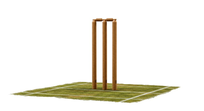 Cricket Ground Wickets