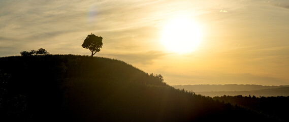 Aerial view of a solitary tree crowns a shadowy hill beneath a sky ablaze with the warm glow of the setting sun, Soppeng, Sulawesi Selatan, Indonesia.