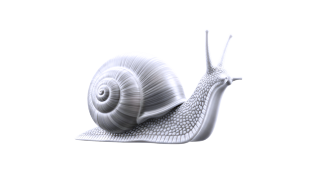majestic silver snail a 3d model of grace, patience, and natures elegance, isolated on transparent background