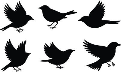 Black bird silhouette icon set featuring flying and perched poses with detailed wings, tails, and beaks for design use