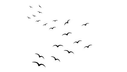 Flying Birds Silhouette Flock in Minimal Style Isolated on White Background