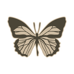 Vintage Butterfly