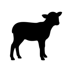 Silhouette of a domestic sheep lamb standing in profile, isolated on white