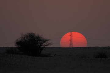Doha, Qatar - September 7, 2025: Power transmission line poles against the sun. Sunset view with high tension pole 