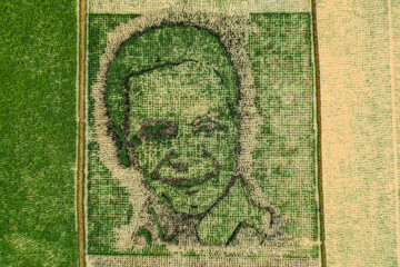 Green textured artwork resembling a face