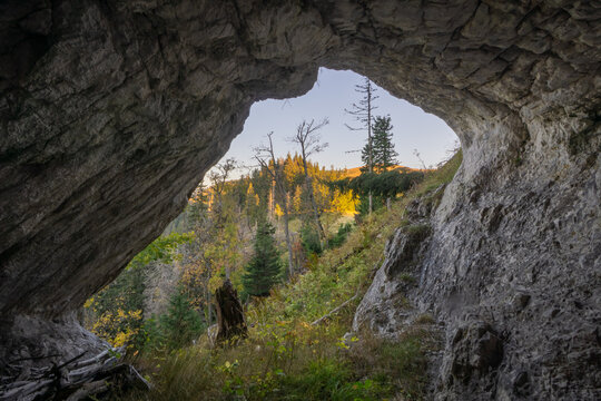 View of the forest landscape through a cave opening, with contrasting textures of rough rock and soft foliage, bathed in the warm glow, Blatnica, &Aring;&frac12;ilina Region, Slovakia.