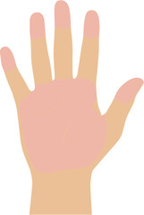 Obraz premium Flat Style Detailed Open Hand Human Body Part Illustration