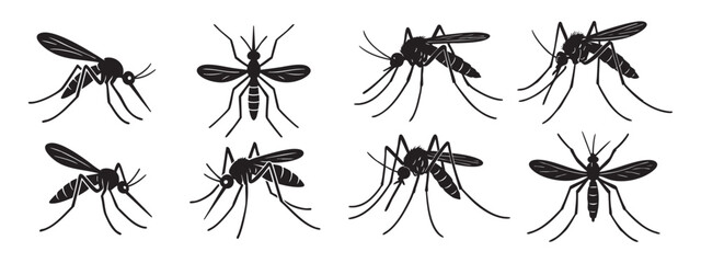 A set of black-and-white contour drawings of mosquitoes.