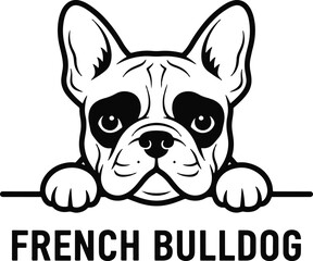 French Bulldog Illustration – Black and White Breed Art with Peeking Pose and Bold Typography