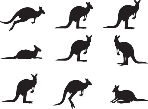This image showcases a diverse set of nine black kangaroo silhouettes, each captured in unique postures and movements. A comprehensive visual resource for Australian wildlife graphics.