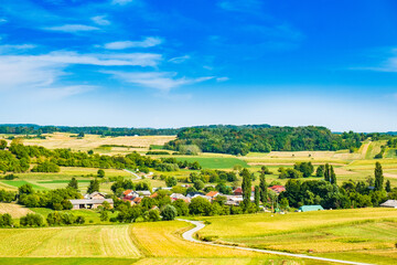 Fototapeta premium Beautiful green rural landscape in Kalnik vineyard area, Prigorje region, Croatia 