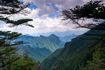 mountain landscape with trees