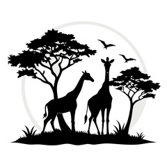 Giraffes in Savanna Silhouette Vector