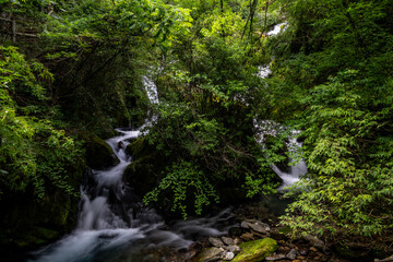 small waterfall in the forest