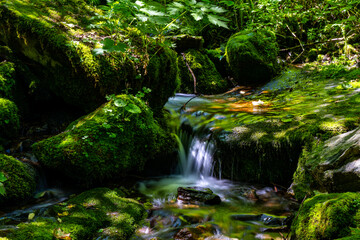 waterfall in the forest
