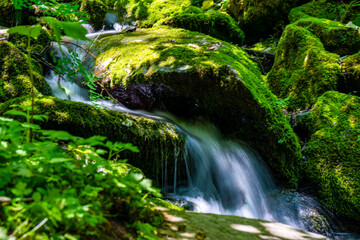 waterfall in the forest