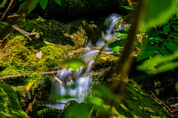 small waterfall in the forest
