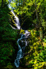 waterfall in the forest