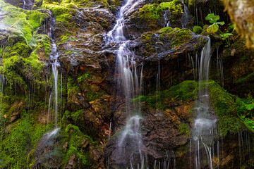 waterfall in the forest