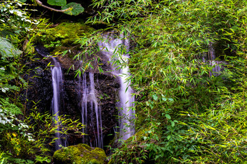 small waterfall in the forest