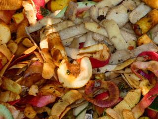 Close-up of Organic Food Waste for Composting