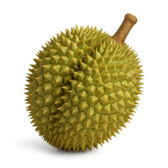 Durian isolated on transparent background