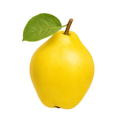 Karin Japanese Quince isolated on transparent background