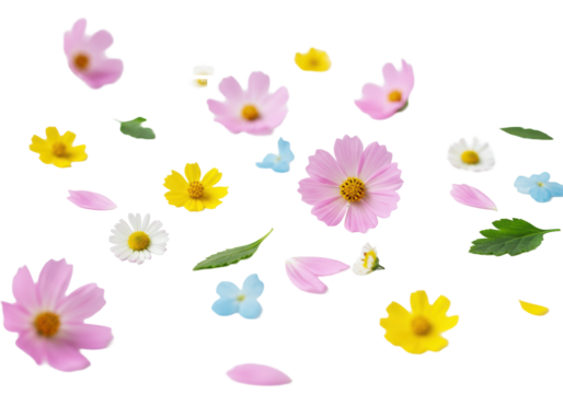 Vibrant cosmos, daisies, and petals in pink, yellow, blue, green hues, scattered on a transparent studio background with ample negative space, high-key light, concept of serene purity - Powered by Adobe