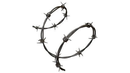 Curved Barbed Wire Loop Isolated