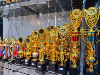 Golden trophies with black bases neatly arranged in a glass display case, representing success, achievement, championship, competition, and sports excellence.