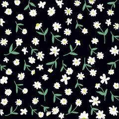 Abstract Seamless pattern with daisy flowers on black background, Vector botanical daisy floral pattern.botany elements, Ink drawings of flowers.eps 10.