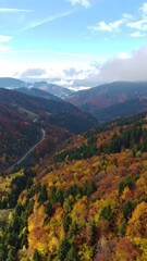 Autumn mountain vista, winding road through colorful forest