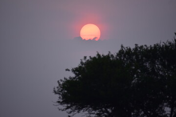 sunset in savanna, Tanzania