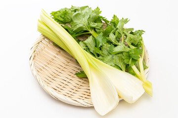 笊に乗ったセロリ　白バック