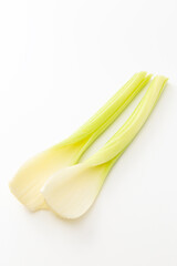 セロリの茎　白バック
