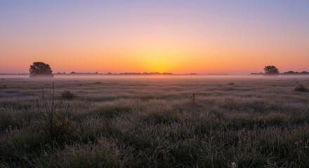 A stunning and tranquil scene of a misty dawn breaking over a vast grassland, casting an ethereal, warm glow across the horizon