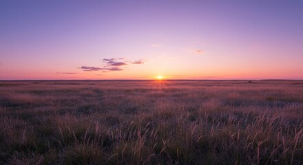 A tranquil expanse of wild grassland glowing under the warm light of a spectacular purple and orange sunset on the horizon
