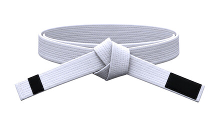 mastering the martial arts a pristine white belt 3d model, isolated on transparent background