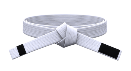 mastering the martial arts a pristine white belt 3d model, isolated on transparent background