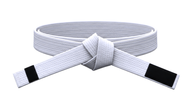 mastering the martial arts a pristine white belt 3d model, isolated on transparent background