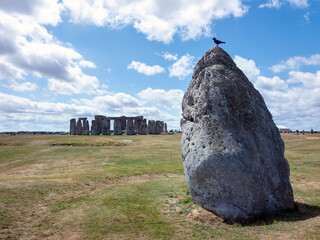 black bird on ancient ruins of stonehenge under blue sky