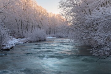 Fototapeta premium A swift river winds through a serene winter woodland blanketed in snow and ice-laden trees.