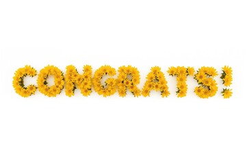 Bright pink and yellow blossoms with bold CONGRATS! lettering, fresh spring flowers celebrating success