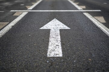 Freshly painted bicycle lane symbol appears on the pavement