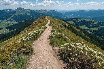Obraz premium A scenic trail on a mountain ridge adorned with gentian flowers and lush alpine greenery